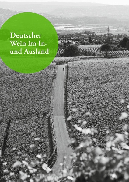 Datei:Geschaeftsbericht DWI, DWF, DWA 2022.pdf