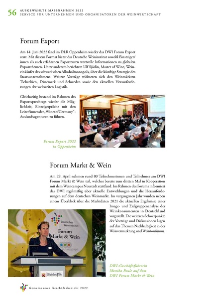 Datei:Geschaeftsbericht DWI, DWF, DWA 2022.pdf