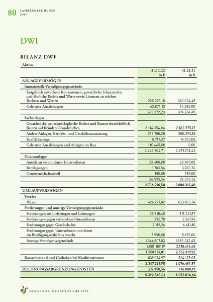 Datei:Geschaeftsbericht DWI, DWF, DWA 2022.pdf