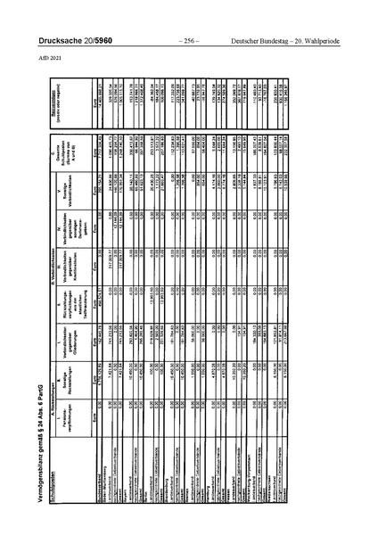 Datei:2021 AfD.pdf