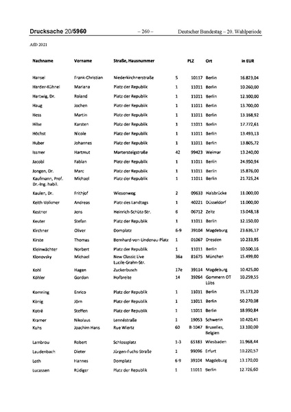 Datei:2021 AfD.pdf