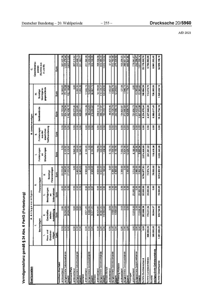 Datei:2021 AfD.pdf