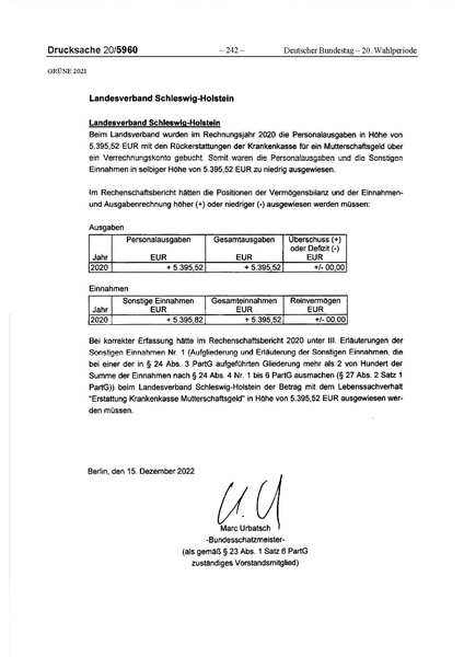 Datei:2021 Grüne.pdf