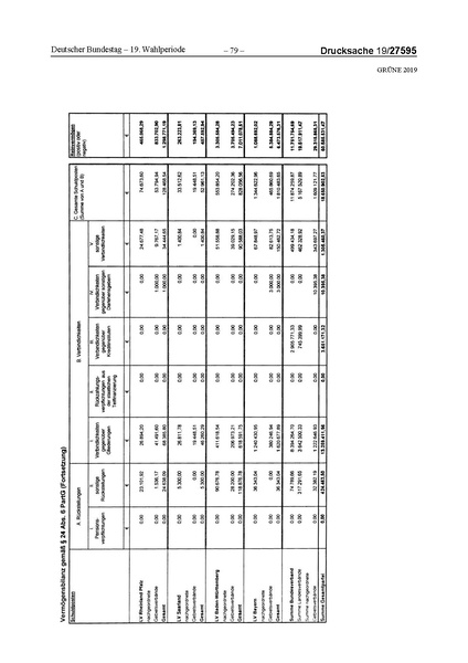 Datei:2019 Grüne.pdf