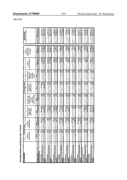 Datei:2022 AfD.pdf